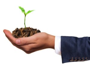 main-plante