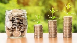 monnaie-locale-pousses-plantes