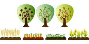 arbres-fruits-legumes
