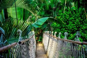 pont suspendu Amazonie